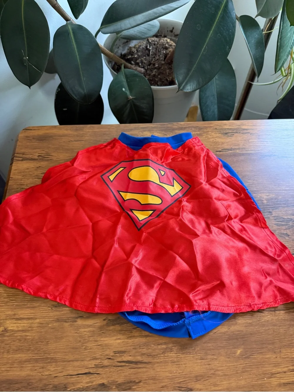 Small dog pet Superman Halloween costume